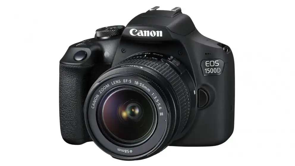 DD-12.webp